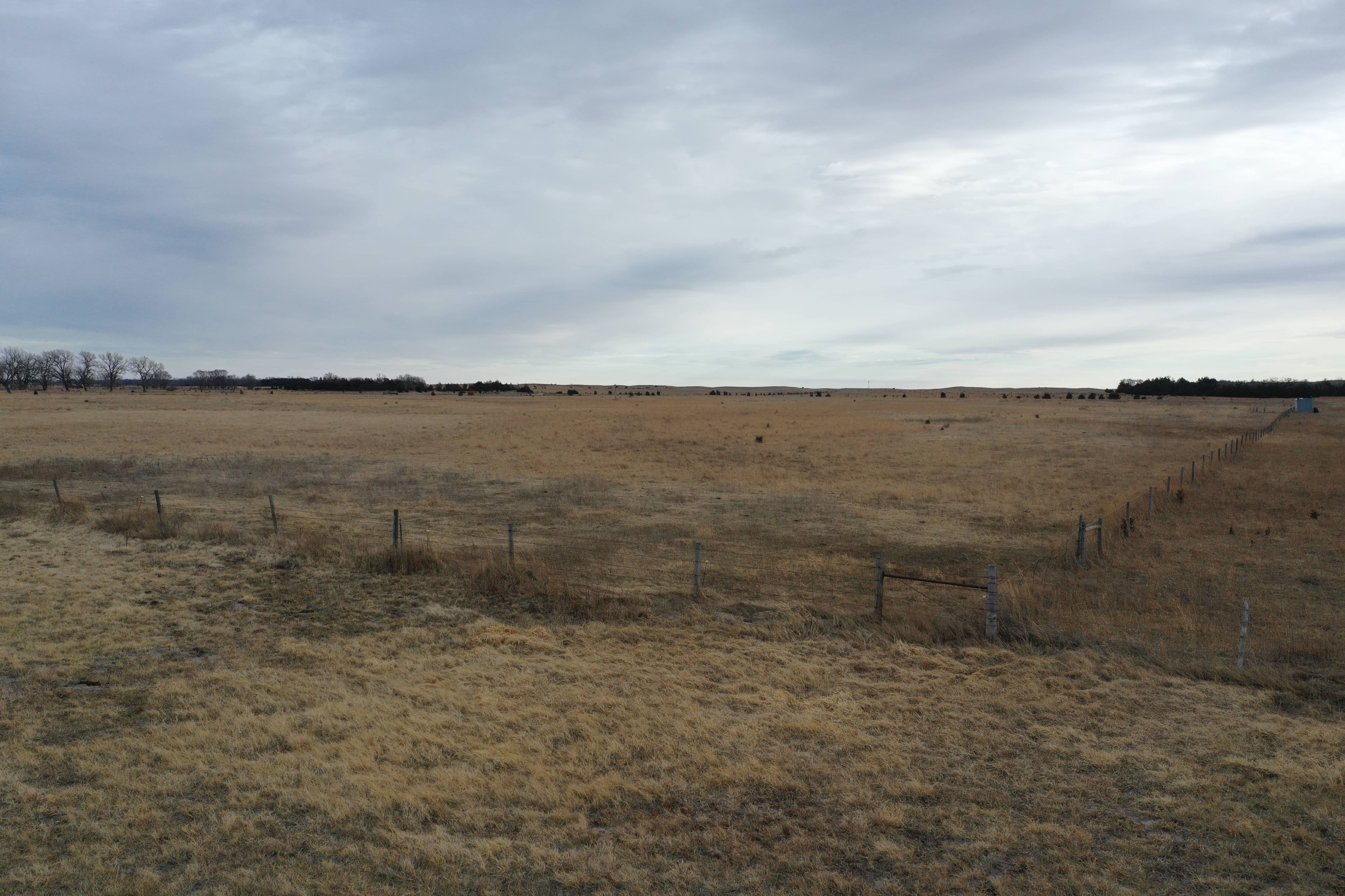 Listing Photo: holt-county-ne-400-acres-pasture